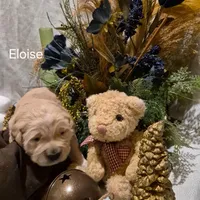 processed/352ee151-c711-4d3e-b1f1-24bd290ea193/listing/a88c896d-ba25-4c6c-a76f-109359503ef7/8c0d76d2-cb93-4ed2-bb76-696f5d14cd50