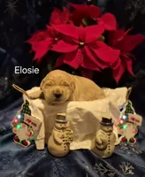 processed/352ee151-c711-4d3e-b1f1-24bd290ea193/listing/a88c896d-ba25-4c6c-a76f-109359503ef7/90c73ed4-b5a0-44aa-a592-fd7211bf9d80