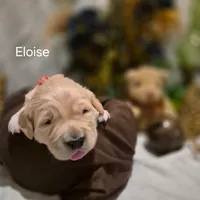 processed/352ee151-c711-4d3e-b1f1-24bd290ea193/listing/a88c896d-ba25-4c6c-a76f-109359503ef7/93207564-97a2-4fbf-b010-b446c1d3250b