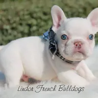 processed/355267f6-ae50-4441-894a-fed8f96f0185/facility/482d6d05-518f-41ff-8900-c16904dfd70e