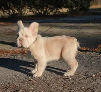 processed/355267f6-ae50-4441-894a-fed8f96f0185/listing/1866670b-434a-45bf-affd-bf237c15916f/20b89b6e-4a89-4c6d-8a43-e74573fba3d0