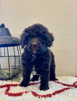 processed/3562a566-10e3-41e6-8dc1-910c6d465ec9/listing/01e69b3e-6e4c-4c57-8544-b982449657db/3c63ae3d-0751-4f55-b6a2-2cd5fc41bf8f