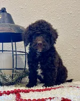 processed/3562a566-10e3-41e6-8dc1-910c6d465ec9/listing/01e69b3e-6e4c-4c57-8544-b982449657db/565db51b-01c1-4df4-8270-11dd6de88fd0