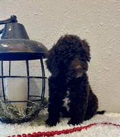 processed/3562a566-10e3-41e6-8dc1-910c6d465ec9/listing/01e69b3e-6e4c-4c57-8544-b982449657db/792b75e0-b153-4c04-9f45-3dc7b1f30ea9