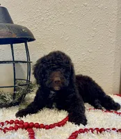 processed/3562a566-10e3-41e6-8dc1-910c6d465ec9/listing/01e69b3e-6e4c-4c57-8544-b982449657db/f3a2e11f-cd86-489e-98d8-b6371f154d59