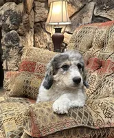 processed/3562a566-10e3-41e6-8dc1-910c6d465ec9/listing/56f77ee5-9221-4309-9aab-1f43a9313db6/4628a0b2-c1ce-4484-b572-52efb649fc21