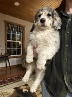 processed/3562a566-10e3-41e6-8dc1-910c6d465ec9/listing/56f77ee5-9221-4309-9aab-1f43a9313db6/b3e97f04-3a67-4239-b25f-8822a3b40d97