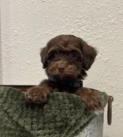 processed/3562a566-10e3-41e6-8dc1-910c6d465ec9/listing/5b3faf63-2bd9-4909-bbf0-d6de7d27d52b/77b67fe3-a7cf-4275-997e-0c8c686f7266