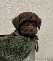 processed/3562a566-10e3-41e6-8dc1-910c6d465ec9/listing/5b3faf63-2bd9-4909-bbf0-d6de7d27d52b/8e02a21d-42a3-407e-ba20-ccb4d71f412f