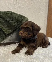 processed/3562a566-10e3-41e6-8dc1-910c6d465ec9/listing/5b3faf63-2bd9-4909-bbf0-d6de7d27d52b/9cc0679a-d7a5-42d2-8b35-2534a71d1eb8