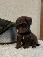 processed/3562a566-10e3-41e6-8dc1-910c6d465ec9/listing/5b3faf63-2bd9-4909-bbf0-d6de7d27d52b/a0646027-72d6-4ea7-9e54-a5045951ae30