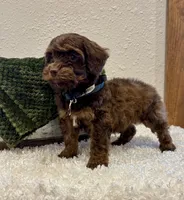 processed/3562a566-10e3-41e6-8dc1-910c6d465ec9/listing/5b3faf63-2bd9-4909-bbf0-d6de7d27d52b/b6a1a054-5f6c-4334-84e9-0b600f8de8c4