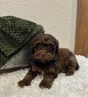 processed/3562a566-10e3-41e6-8dc1-910c6d465ec9/listing/5b3faf63-2bd9-4909-bbf0-d6de7d27d52b/e7cf9d0a-fd3f-4a0f-b132-f370fb6f8e63