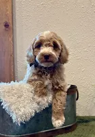 processed/3562a566-10e3-41e6-8dc1-910c6d465ec9/listing/61253f47-d8d3-4772-909c-c755ad8f7f11/109b143a-9cd3-4e82-8e17-4131d1b169a5