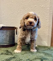 processed/3562a566-10e3-41e6-8dc1-910c6d465ec9/listing/61253f47-d8d3-4772-909c-c755ad8f7f11/98073e8b-a6a2-41be-8561-ab1a3394c0ae