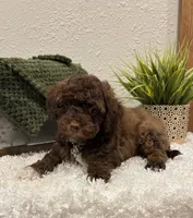 processed/3562a566-10e3-41e6-8dc1-910c6d465ec9/listing/72c4eb5d-0757-42d2-8a18-74bb38ed2775/0e65ef9c-fba9-4c46-9e58-badae9dd1c22