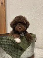 processed/3562a566-10e3-41e6-8dc1-910c6d465ec9/listing/72c4eb5d-0757-42d2-8a18-74bb38ed2775/c4c04e70-a4cd-4bc0-a1da-79c724211c6b