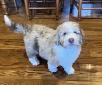 processed/3562a566-10e3-41e6-8dc1-910c6d465ec9/listing/9b27bb50-a06b-4ed9-b7b7-cd9a3a4e03bf/7536d1bc-ea26-47ee-b23b-d4f75ddadf96