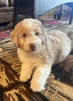 processed/3562a566-10e3-41e6-8dc1-910c6d465ec9/listing/9b27bb50-a06b-4ed9-b7b7-cd9a3a4e03bf/bb643823-18f5-476f-93d7-b3a123e89a9d