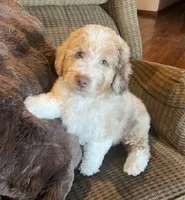 processed/3562a566-10e3-41e6-8dc1-910c6d465ec9/listing/9b27bb50-a06b-4ed9-b7b7-cd9a3a4e03bf/ddc3df40-e34f-43c6-a02e-960275d1bf3a