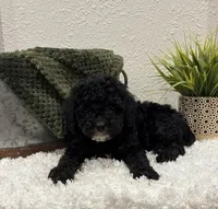 processed/3562a566-10e3-41e6-8dc1-910c6d465ec9/listing/b4e14ed3-4aca-4422-ab8e-5dd2cfa21963/654968a4-32b2-4635-98ce-c39cce6920f9