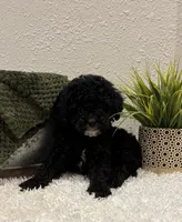 processed/3562a566-10e3-41e6-8dc1-910c6d465ec9/listing/b4e14ed3-4aca-4422-ab8e-5dd2cfa21963/aab79674-4619-49d3-aae2-0f6970a0b246