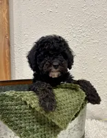 processed/3562a566-10e3-41e6-8dc1-910c6d465ec9/listing/b4e14ed3-4aca-4422-ab8e-5dd2cfa21963/cb086d8b-c463-49b7-843f-d981d97b4ac1