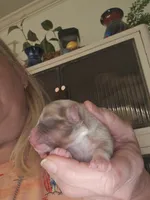 processed/3563f00a-0def-4d3b-83f2-a6a0ca95bfb0/listing/4cf15cca-f401-486c-a105-2036dd5f7dd8/0d04c69e-83af-4669-b79d-da0620d10db3