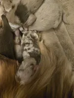 processed/3563f00a-0def-4d3b-83f2-a6a0ca95bfb0/listing/4cf15cca-f401-486c-a105-2036dd5f7dd8/c8ac6511-2737-4562-b679-460944e5d6e4