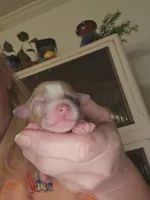 processed/3563f00a-0def-4d3b-83f2-a6a0ca95bfb0/listing/4cf15cca-f401-486c-a105-2036dd5f7dd8/d6aa74e4-e931-45ba-9773-9d4089f96d2a