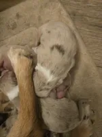 processed/3563f00a-0def-4d3b-83f2-a6a0ca95bfb0/listing/4cf15cca-f401-486c-a105-2036dd5f7dd8/e30758c5-d6e1-4c81-b48e-81e10639b1cc