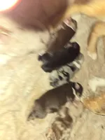 processed/3563f00a-0def-4d3b-83f2-a6a0ca95bfb0/listing/979371af-64d8-47e1-b69d-1eedc4c0d8a7/390266f8-c872-4a19-9472-6184665e270a