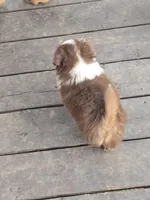 processed/3563f00a-0def-4d3b-83f2-a6a0ca95bfb0/listing/979371af-64d8-47e1-b69d-1eedc4c0d8a7/75944b45-2806-4d3c-be38-ac13acf64cff