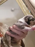 processed/3563f00a-0def-4d3b-83f2-a6a0ca95bfb0/listing/c21eef74-907c-4150-a679-51791afdce40/09530e16-7e7b-4191-8c54-14e065b9aced