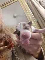 processed/3563f00a-0def-4d3b-83f2-a6a0ca95bfb0/listing/c21eef74-907c-4150-a679-51791afdce40/ff1062a2-b6ea-4432-9867-ce08863fa1cb