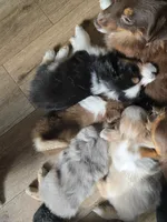 processed/3563f00a-0def-4d3b-83f2-a6a0ca95bfb0/listing/c4928e42-7821-4032-9dcb-3fbb8a5d3fc4/1d829363-6d6b-4306-afd2-a84610cfff3e