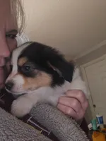 processed/3563f00a-0def-4d3b-83f2-a6a0ca95bfb0/listing/c4928e42-7821-4032-9dcb-3fbb8a5d3fc4/1e1e5f7e-e83e-4da1-9295-17ea6a76bcc8