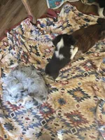 processed/3563f00a-0def-4d3b-83f2-a6a0ca95bfb0/listing/c4928e42-7821-4032-9dcb-3fbb8a5d3fc4/578b57aa-dd2c-430a-a9c1-6f01bde01b78