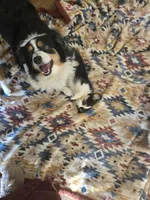 processed/3563f00a-0def-4d3b-83f2-a6a0ca95bfb0/listing/c4928e42-7821-4032-9dcb-3fbb8a5d3fc4/5be511f0-b3ee-4e7c-ad66-ef82f4a9c53f