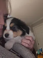 processed/3563f00a-0def-4d3b-83f2-a6a0ca95bfb0/listing/c4928e42-7821-4032-9dcb-3fbb8a5d3fc4/b463e5fb-b5e0-40e5-ab98-7263b52c4731