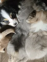 processed/3563f00a-0def-4d3b-83f2-a6a0ca95bfb0/listing/c4928e42-7821-4032-9dcb-3fbb8a5d3fc4/b6270208-9888-45f5-b42e-ae7fbe29d4da