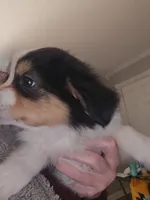 processed/3563f00a-0def-4d3b-83f2-a6a0ca95bfb0/listing/c4928e42-7821-4032-9dcb-3fbb8a5d3fc4/de672204-9973-43b5-b061-a5b783cd8159