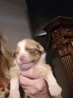 processed/3563f00a-0def-4d3b-83f2-a6a0ca95bfb0/listing/dc16ed15-85e8-4068-ba9d-f39f6e729785/0cef82b1-8868-428e-aedf-a0915a726317