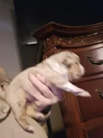 processed/3563f00a-0def-4d3b-83f2-a6a0ca95bfb0/listing/dc16ed15-85e8-4068-ba9d-f39f6e729785/1f9bf436-89a0-4cd3-bb8f-54cf9468203f