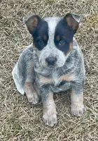 processed/358ec7c2-507a-4400-84ed-6a8e5f7c2054/listing/95f79506-c290-446d-91fd-5b8395366691/0970f1de-e362-4686-8cb8-035e6bd8f3c4