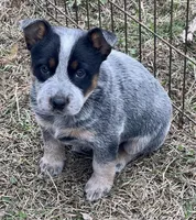 processed/358ec7c2-507a-4400-84ed-6a8e5f7c2054/listing/95f79506-c290-446d-91fd-5b8395366691/296a59ef-2a8f-40d2-b1ac-c2d983fb7a1e