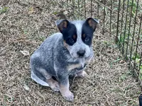 processed/358ec7c2-507a-4400-84ed-6a8e5f7c2054/listing/95f79506-c290-446d-91fd-5b8395366691/992ca5bf-67d2-45ed-ad9f-9fb491559761