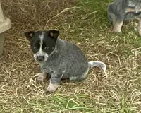 processed/358ec7c2-507a-4400-84ed-6a8e5f7c2054/listing/cd0a9db0-6ef1-4359-b0ef-3e39e14c1006/bc8c3359-e52b-4cb5-bf76-ae4c2b0cbc81