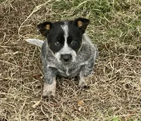 processed/358ec7c2-507a-4400-84ed-6a8e5f7c2054/listing/cd0a9db0-6ef1-4359-b0ef-3e39e14c1006/d7873f59-8e6f-4ef7-ac77-2bca41dd1f18