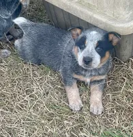 processed/358ec7c2-507a-4400-84ed-6a8e5f7c2054/listing/f347409a-557a-4af6-919a-d152edf9552b/00797522-0085-47b3-802e-2e7a0843f64b